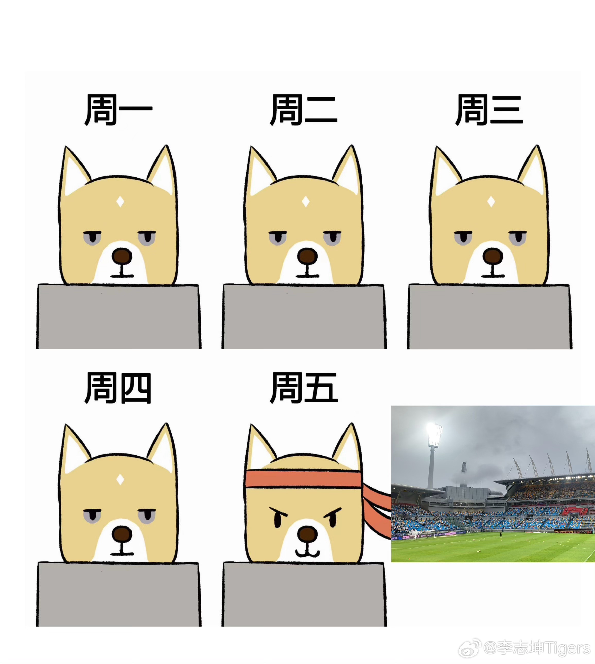 鸽鸽今天进几个？天津津门虎天津津门虎​​​