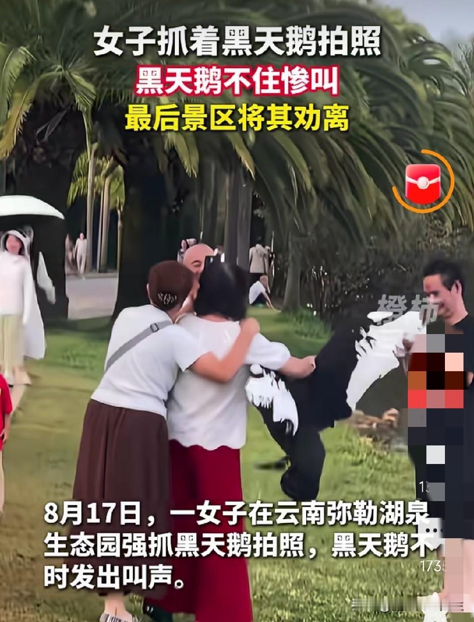 这两个大妈的养老金真该降一降啦！没有闲钱她就不会出去作妖了。一大妈在云南生态园