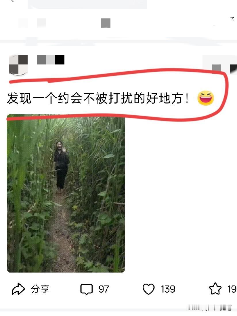 这种地方去喂蚊子还差不多，