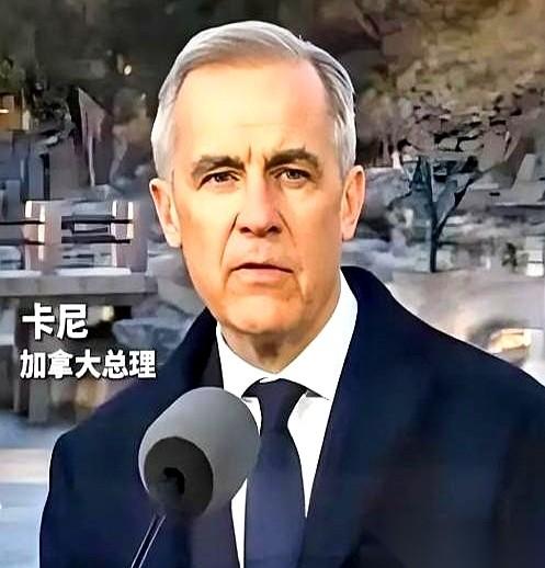加拿大总理卡尼，亲手撕了剧本。加拿大总理卡尼亲手撕碎了紧跟美国的贸易剧本。他