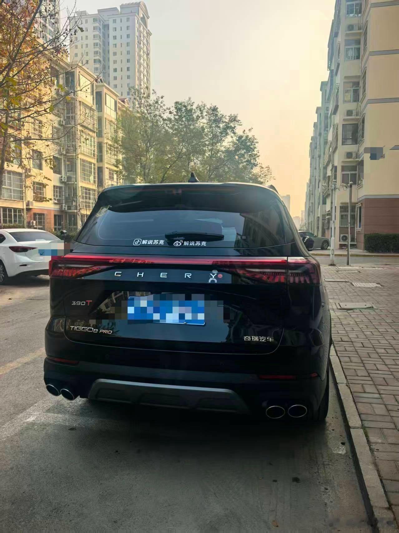 对了，今天有个友友发了个图片给我。我看见过车上印一对儿兔子的，鸽子的，没见过还印