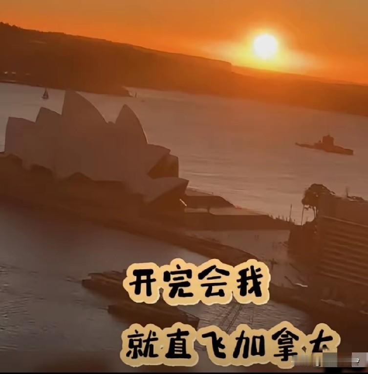 张兰的状态好到飞起啊，箖箖想奶奶了，他想让奶奶去加拿大找他！霖霖主动打电话