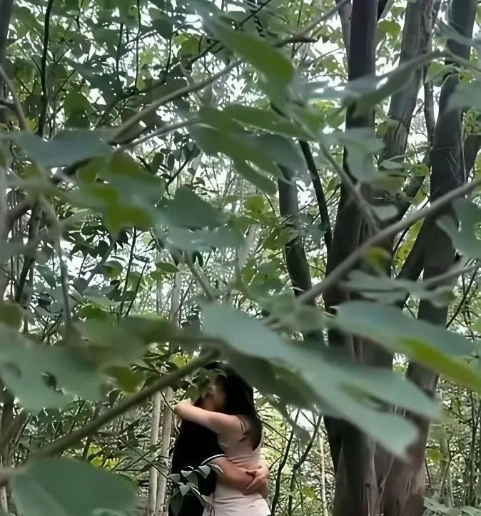 在这看似隐秘的小树林，竟有人妄图藏身。殊不知，周遭痕迹难掩，真当此地是绝佳隐匿之