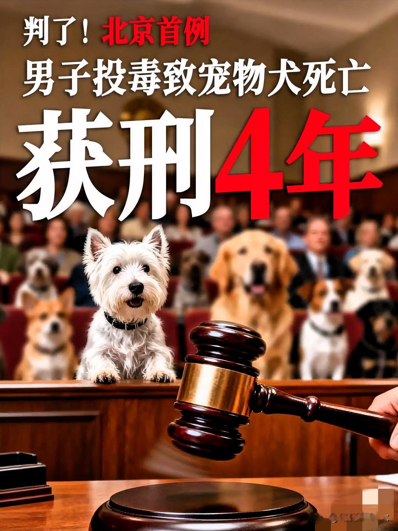 刚看到近几日，北京朝阳检察院驳回了受害犬主们的抗诉请求，这让不少人议论纷纷。