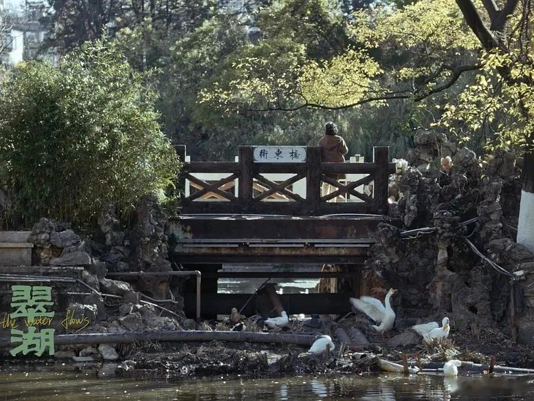 去年暑假去昆明，进翠湖公园转了转。没觉出有什么特色，甚至连照片都懒得拍几张，随便