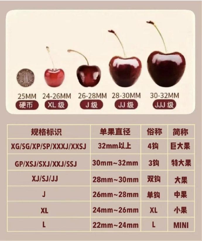 车厘子的“J”到底藏着什么猫腻？看懂这篇，再也不花冤枉钱！“同样是车厘子，为