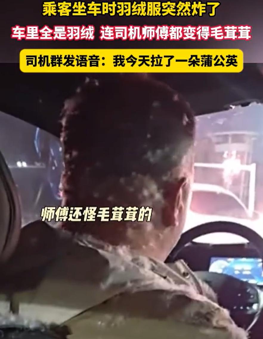笑死了！河北承德，一男子乘坐网约车，没想到，刚一上车羽绒服竟然直接“爆”了，里面