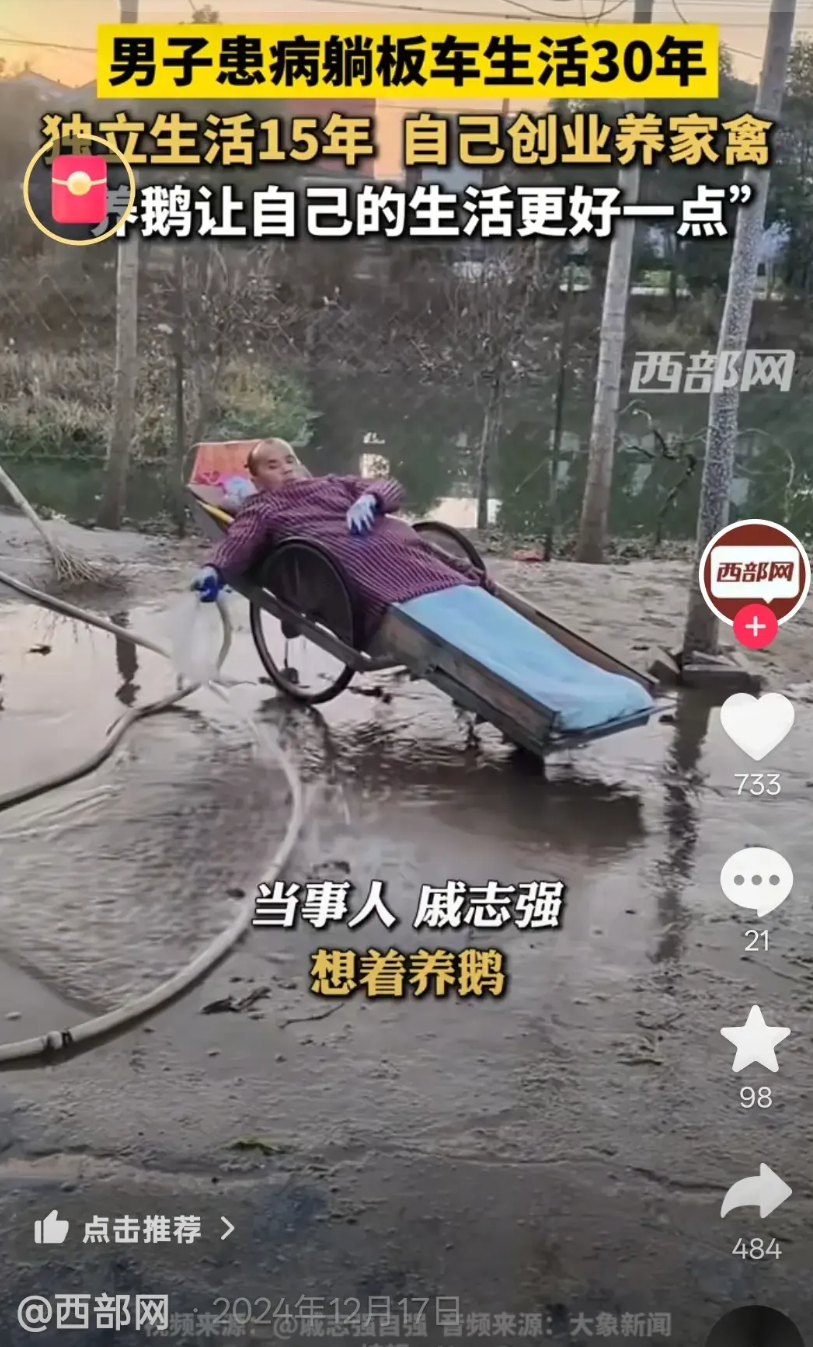 河南周口，47岁的男子-戚志强，瘫痪在板车30年，独立生活养鹅15年，他是如