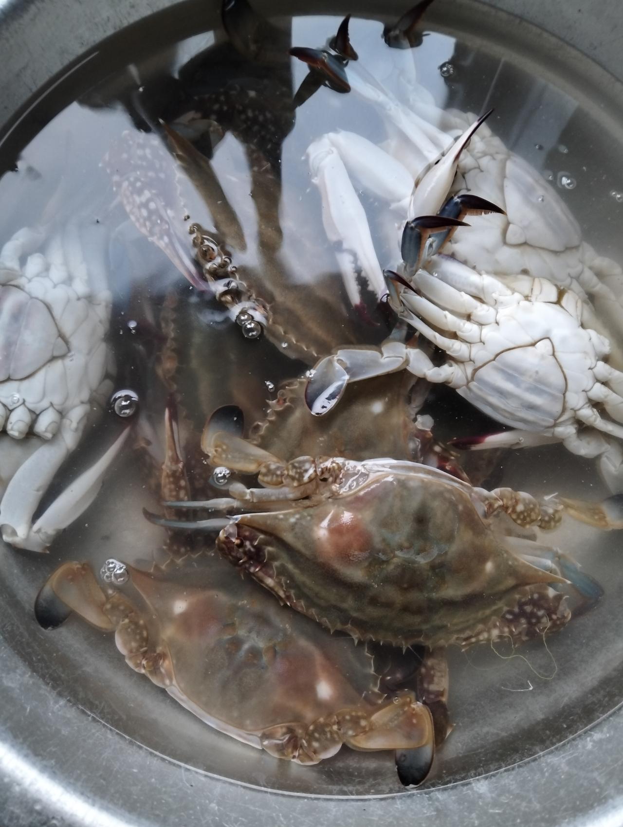 我吃不长鳞的鱼，吃葱蒜韭菜等食物都胃胀气，越晚上越重，有时下半夜都睡不着。就是吃