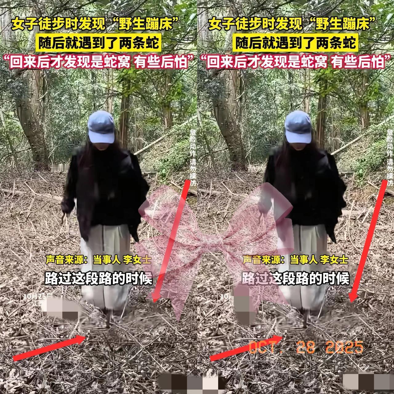 “真是命大啊!”江西一女子进山徒步,把眼镜蛇窝当成“天然蹦床”踩,现在想起来恐怕