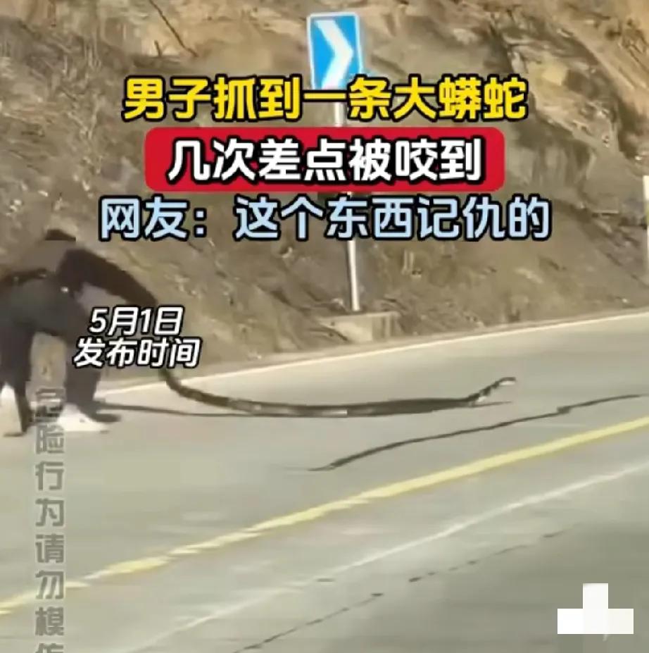 男子抓蟒，疯狂挑衅！蛇命悬一线，人性呢？家人们，我刚刷到一个超惊悚的视频，
