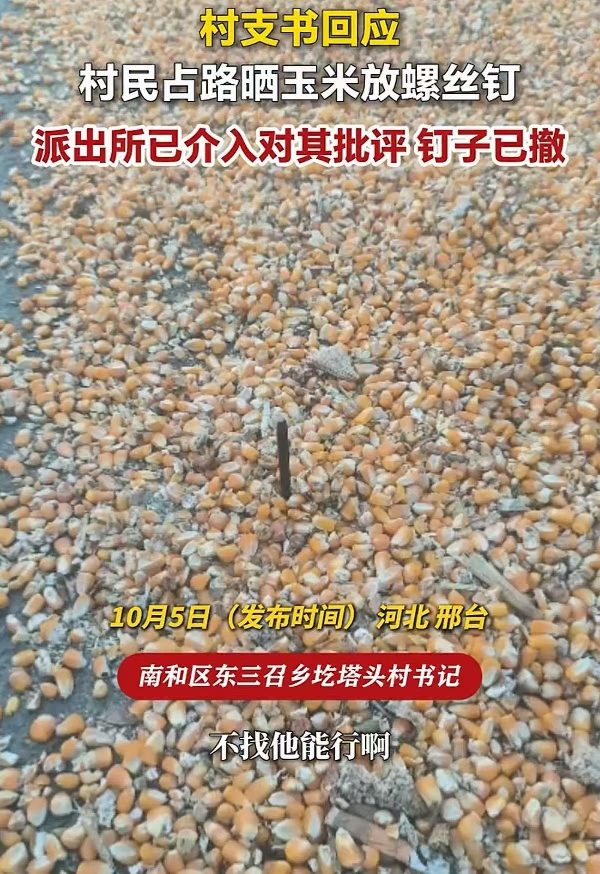 坏的无法形容！河北邢台，秋收时节，一村民在公路上晒玉米，他怕来往行人车辆碾压、踩