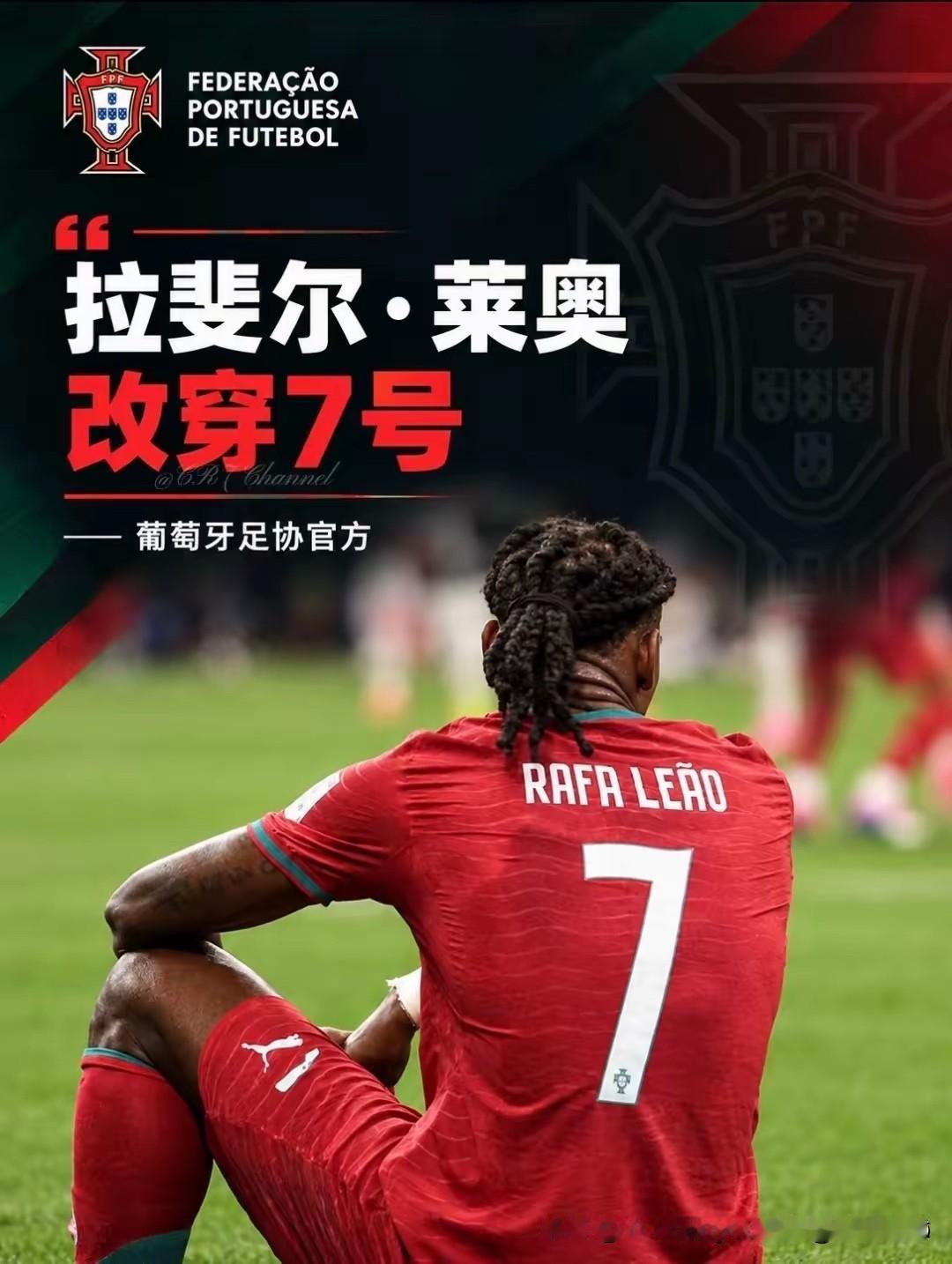 莱奥，你好大的胆子！​人家罗哥还没正式退出葡萄牙国家队，只是一时激动暂时离开了