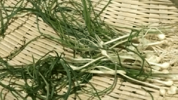 农村奶奶用不起眼的野菜炒了盘腊肉，瞬间征服我的胃