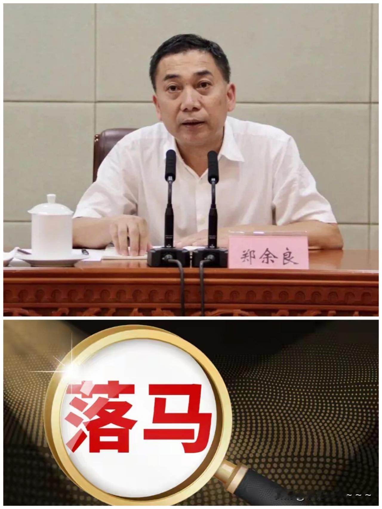 ……9月20日，反腐消息❗️就在刚刚，厅官“郑余良”，扛不住了？主动投案了！