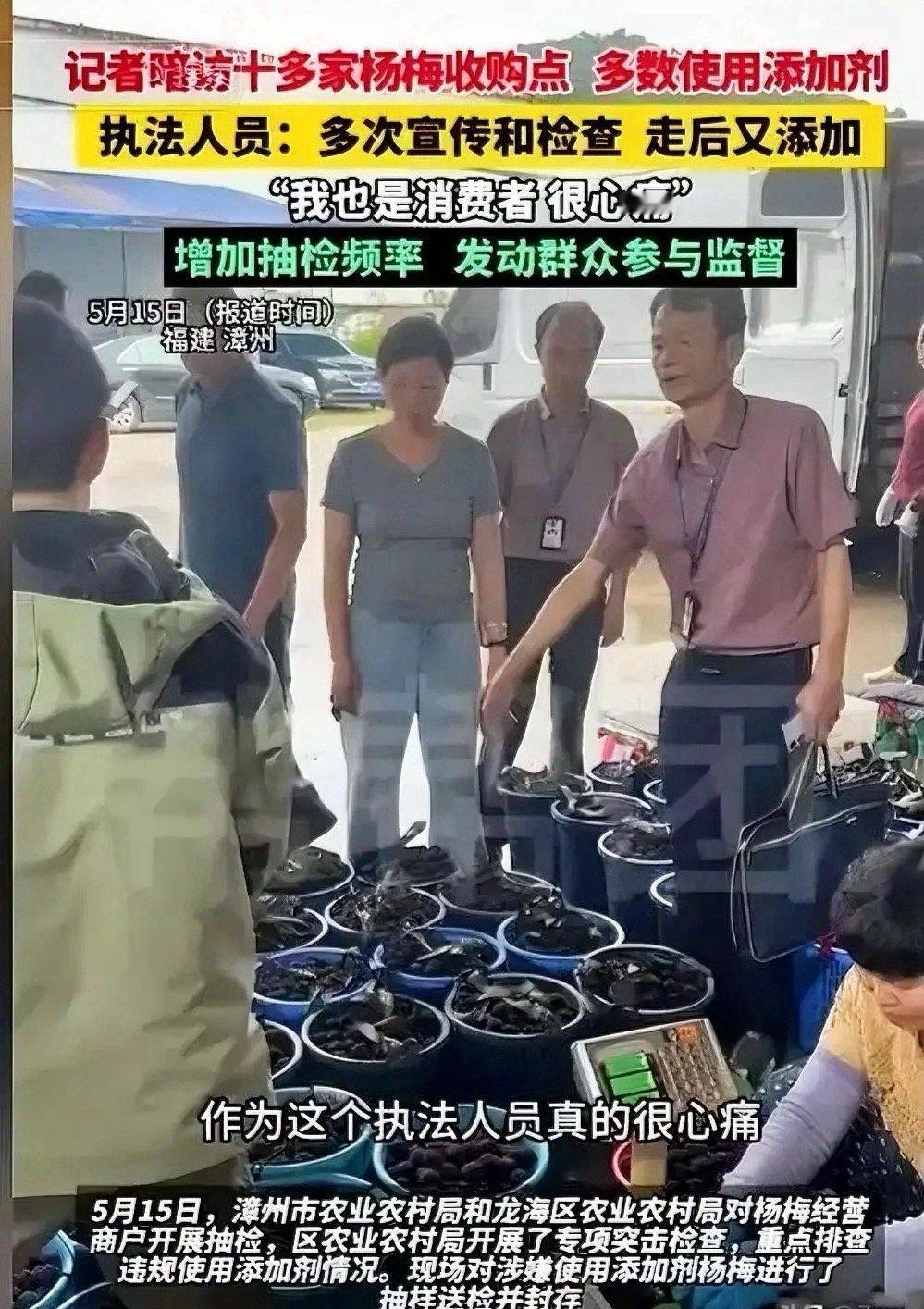 700年的杨梅产业，被一个会长的一句话戳破了真相福建漳州，浮宫镇。一位种了半辈子