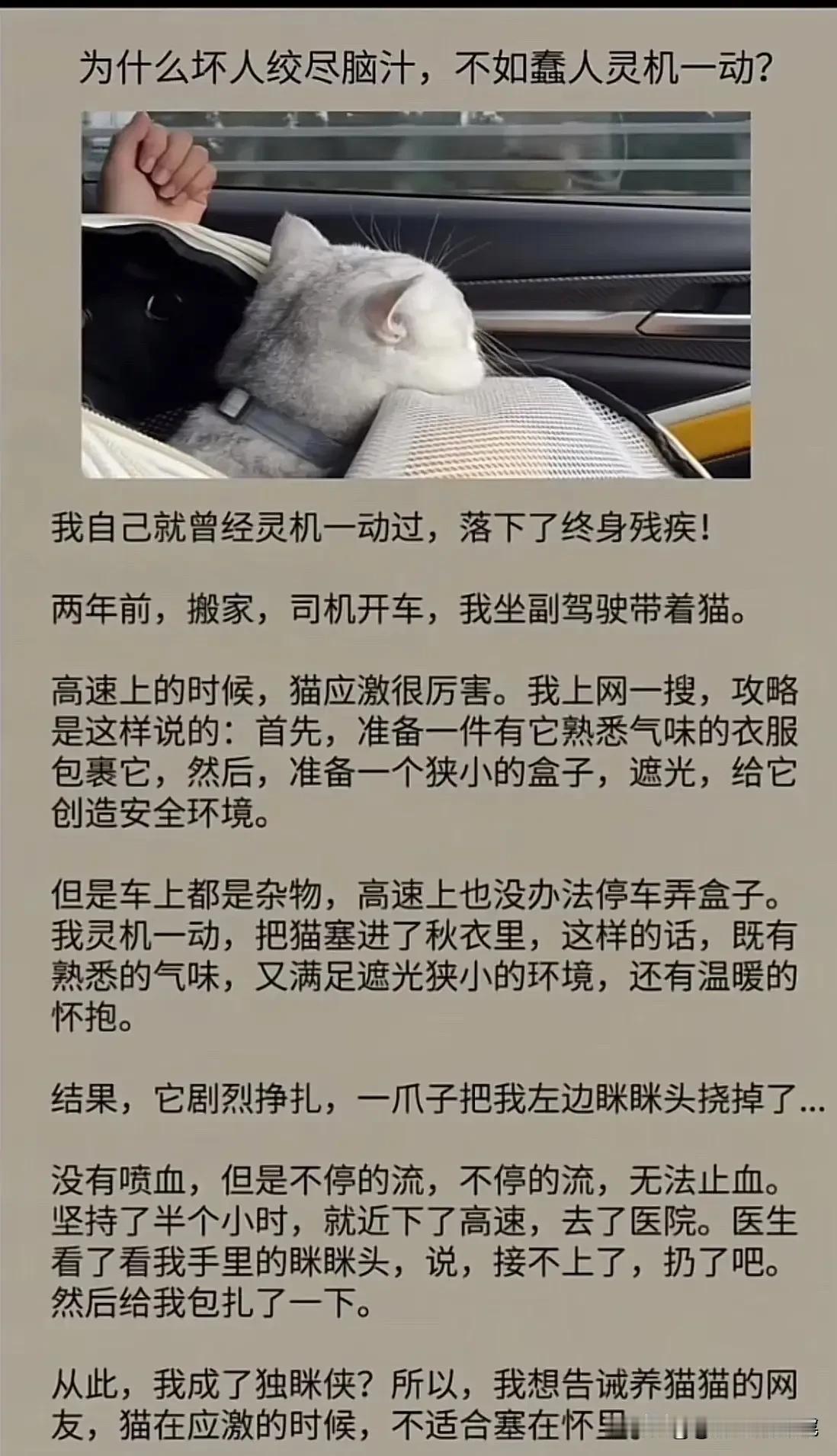 老天呐，虽然是一个悲伤的经历，但是原来我不厚道的笑了！[捂脸哭][捂脸哭][捂脸哭][