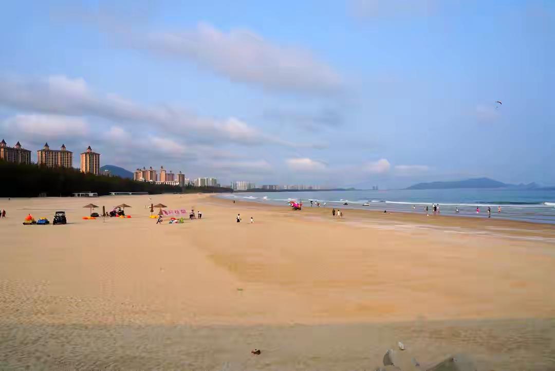 海南三亚陵水的椰子树看着新奇，家乡黑龙江的白桦树看着亲切，这是我的感受。我在海