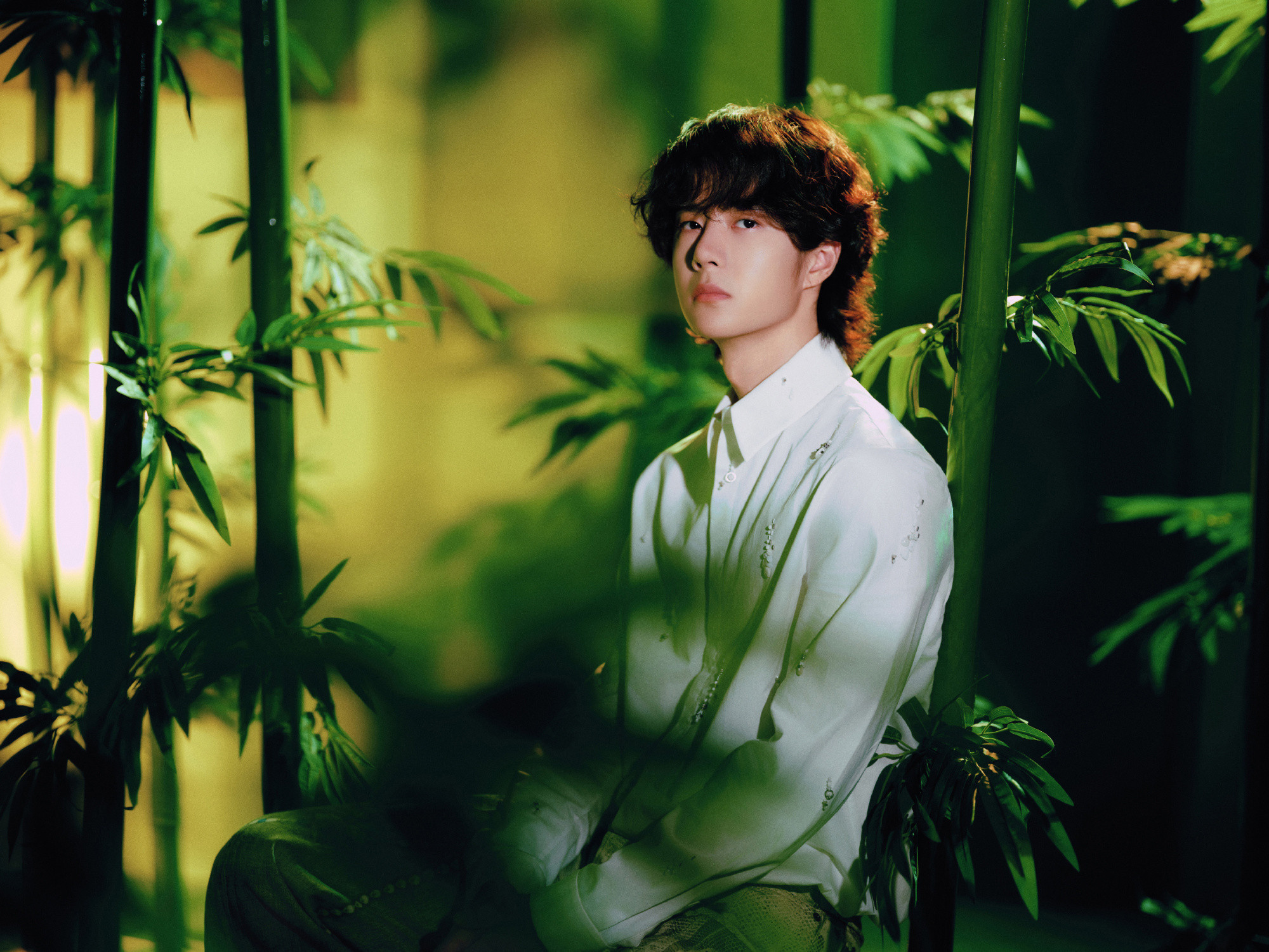【王一博出道十一周年未完待续】今天，是出道十一周年纪念日，其工作室发布竹子主题大