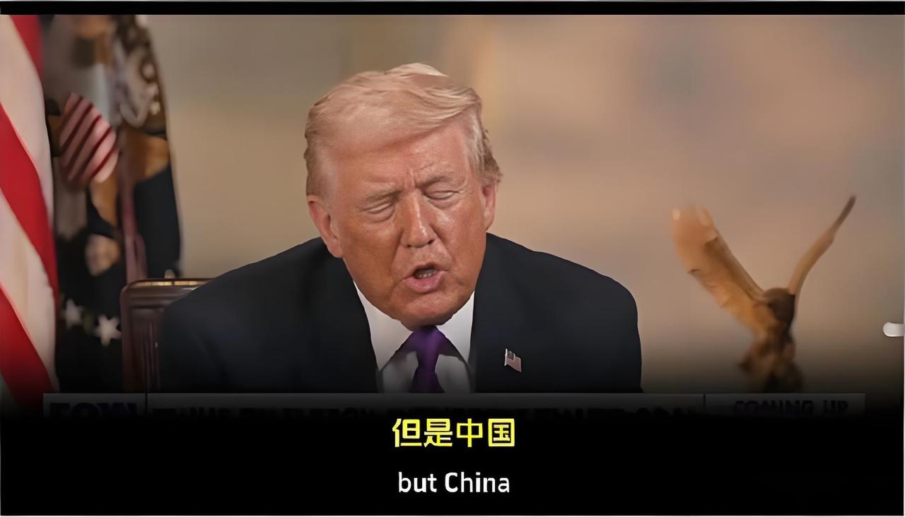 特朗普专访:“羡慕中国强大的电力生产能力!”2月12日，美国总统特朗普在接受