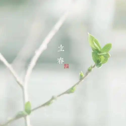 50岁前悟透这3种关系，人生越活越顺别等晚景凄凉才懂：好关系，全在这3句话