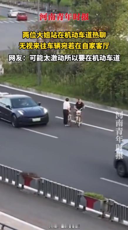 “自作孽不可活！”近日，一位大妈骑着自行车在马路上遇到了另一位大妈，谁知两人刚