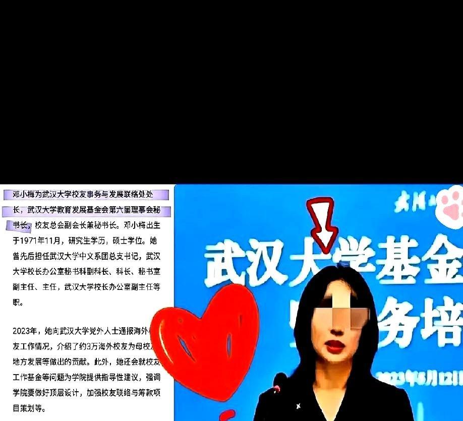 十年苦读，输给一张50块的假证赵雨桐绩点3.9，两篇SCI，却眼睁睁看着保研名