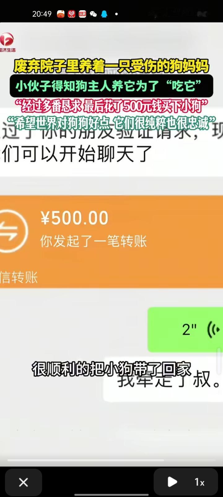 11月5日，驻马店市确山县。网友发视频称，自己在废弃院子里看到狗妈妈，它的肚子明