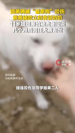 同样是被狗咬，湖南这对姐弟却因一个念头之差天人永隔。弟弟求助长辈接种了疫苗，姐姐