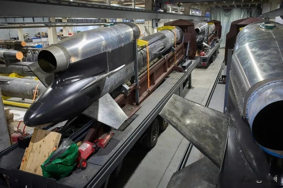 俄罗斯军用轰炸机接连发生两起炸弹意外脱落事件，分别波及以色列及日本境内目标。1