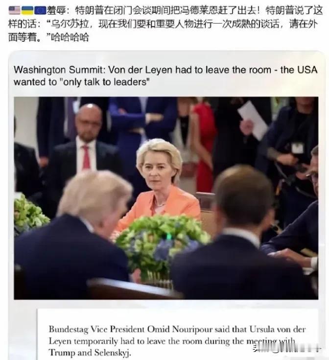 原来这才是真相，白宫峰会的时候，冯德莱恩不是自己愤而离席的！当时就有媒体爆料称