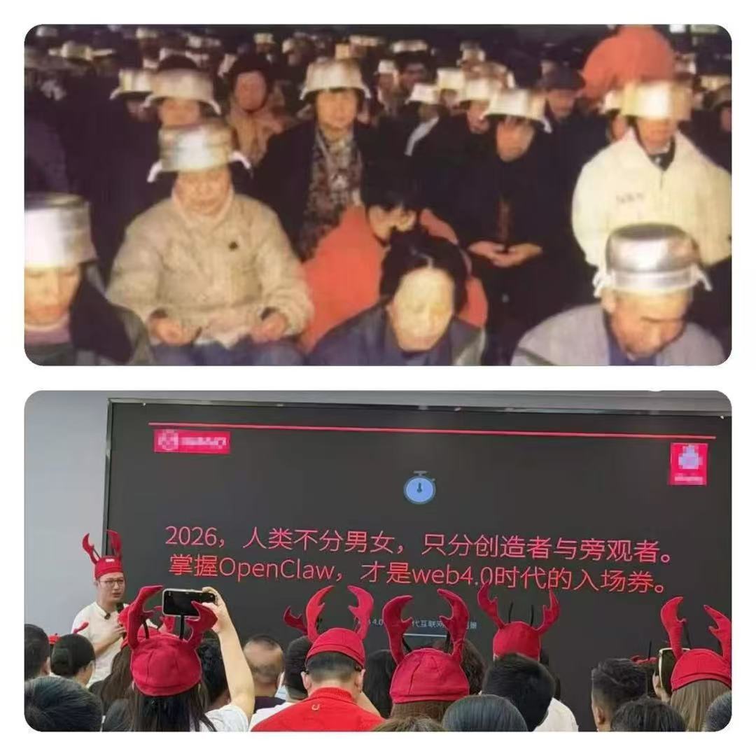 你养龙虾了么…