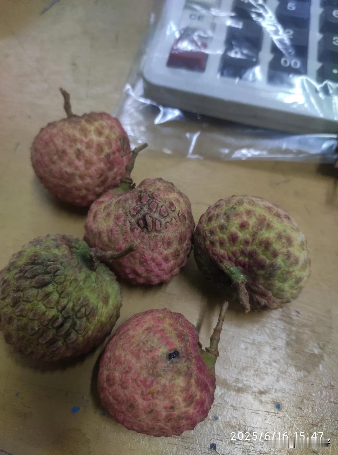 今天下午，部门领导让文员给每个人发了五颗荔枝。文员说这是别人送给部门领导的。我