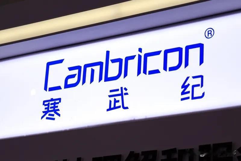 最近AI股票火热，讲个冷笑话。全靠国产算力构建大模型的科大讯飞，在2022年的