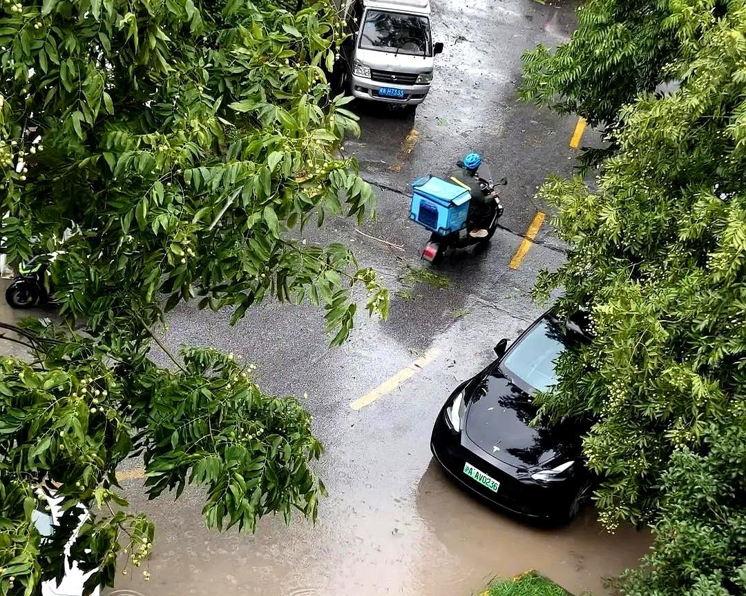 上海这场雨，真不是闹着玩的。长江路、大连路、复兴东路、银都路这几条隧道，今天居