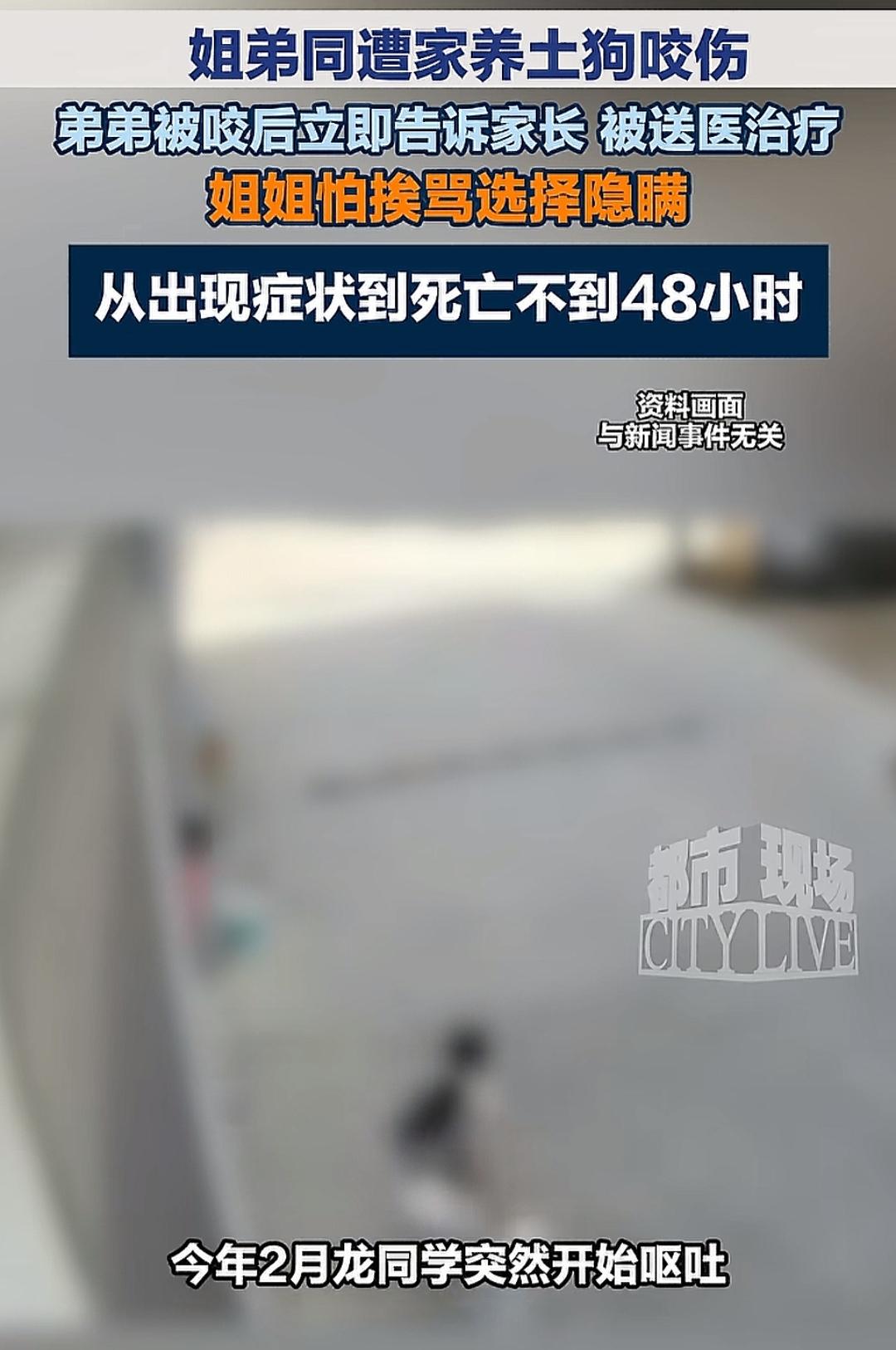 据湖南都市新闻报道，一女孩去年12月从外公家抱回来一只土狗，某天，狗变得狂躁不安