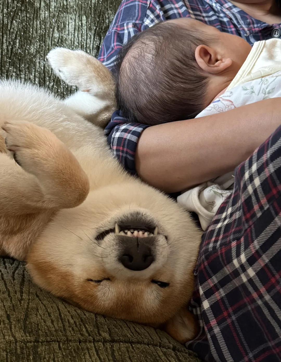 妈妈我和弟弟谁更可爱