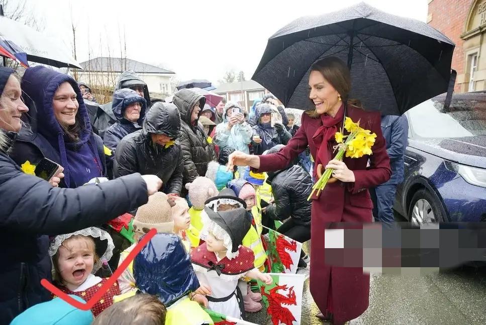 凯特也没想到，这次的威尔士之行，失了口碑原本是一团和气的活动，没成想因为一场雨