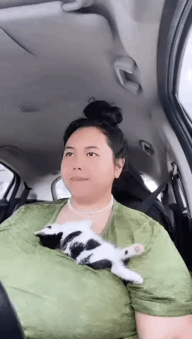 猫：下辈子还选你当主人。