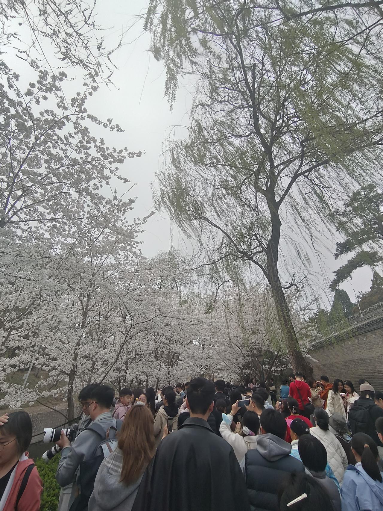 睡在一张床，心隔万重山：多少中年夫妻，靠忍在硬撑中年婚姻最扎心的真相，是同