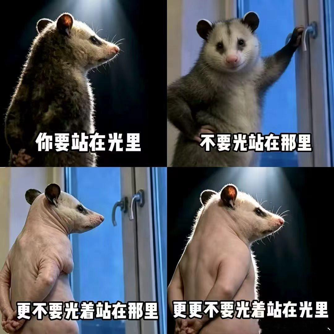 最恶心的走势