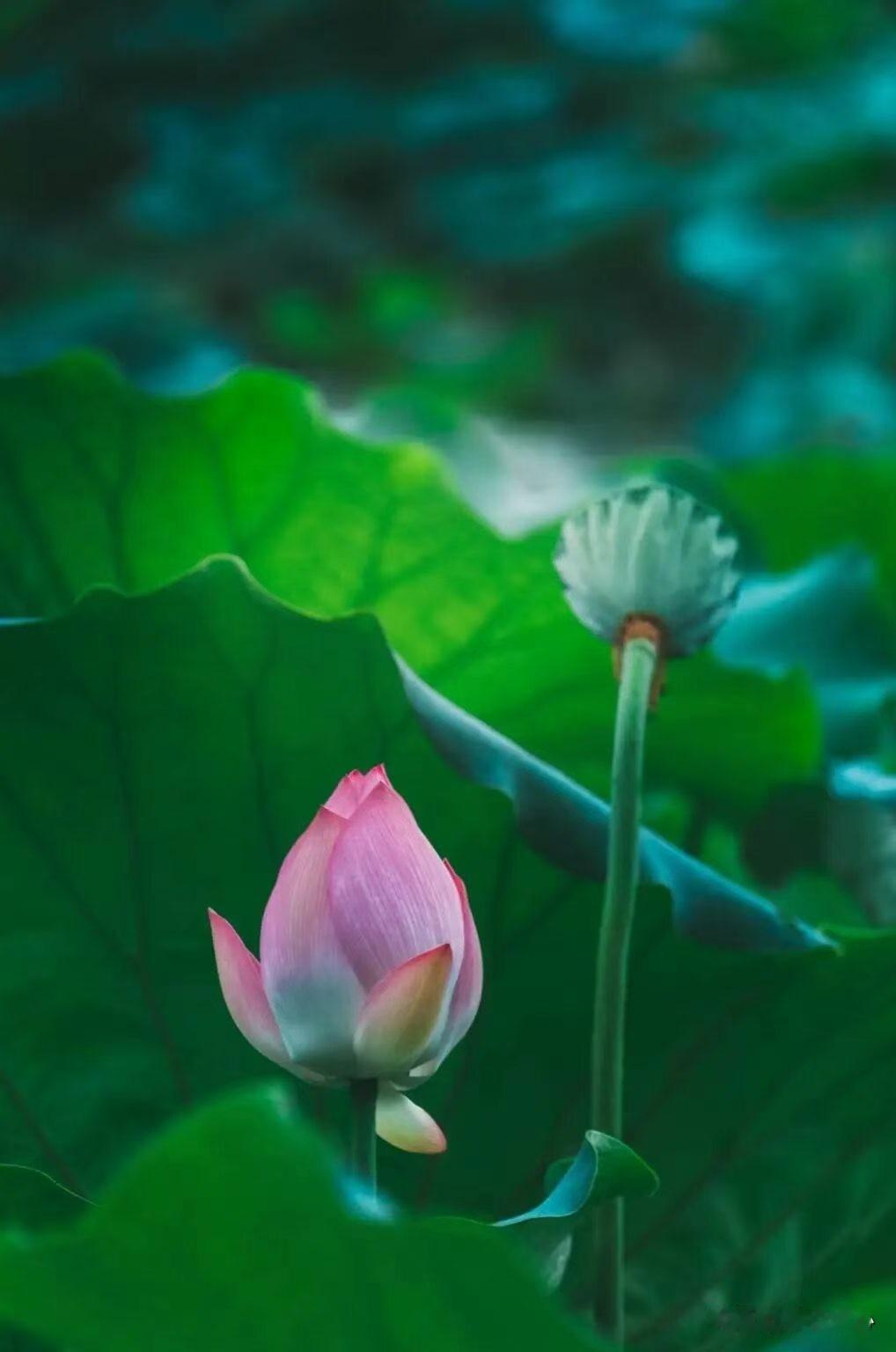 一个非常准的人性规律：“只要这个人嫉妒过你一次，拉帮结派算计过你一次，他大概率会