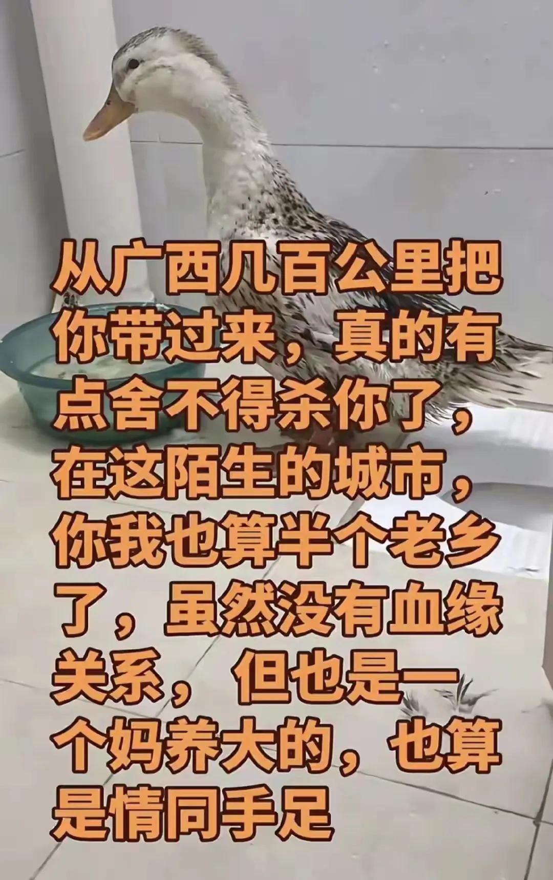 好好好，你这样说是吧[捂脸哭]