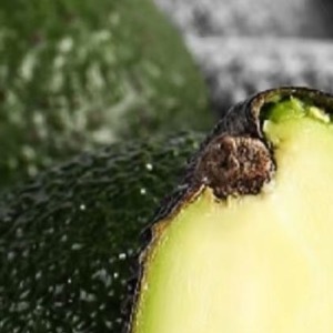 牛油果的种植方法：1、选地整地：牛油果喜爱生长在土壤层浓厚、肥效好的地块，栽种前