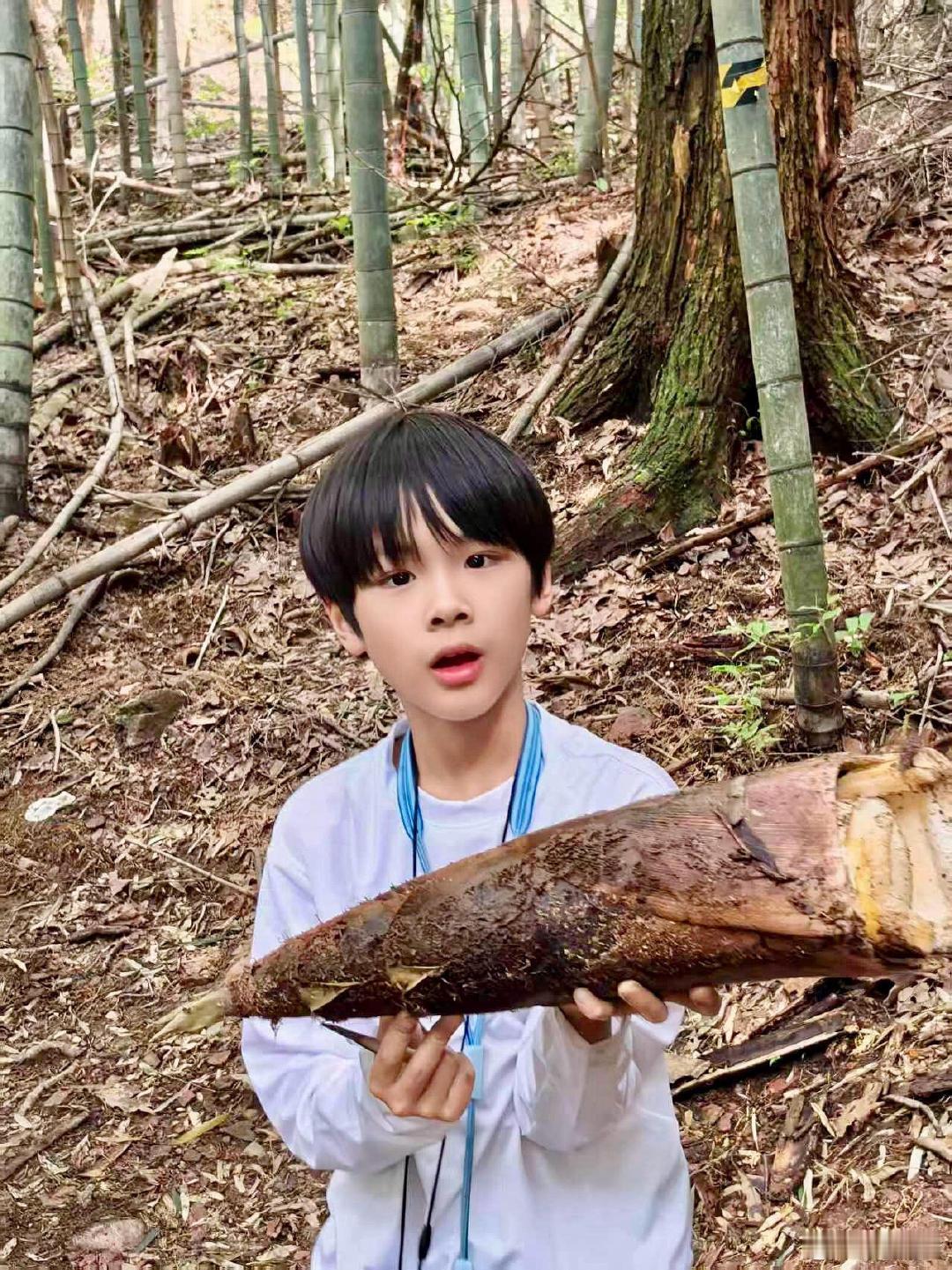 黄圣依小儿子9岁近照黄圣依小儿子9岁身高黄圣依小儿子9岁近照，安麟不仅身高优越，