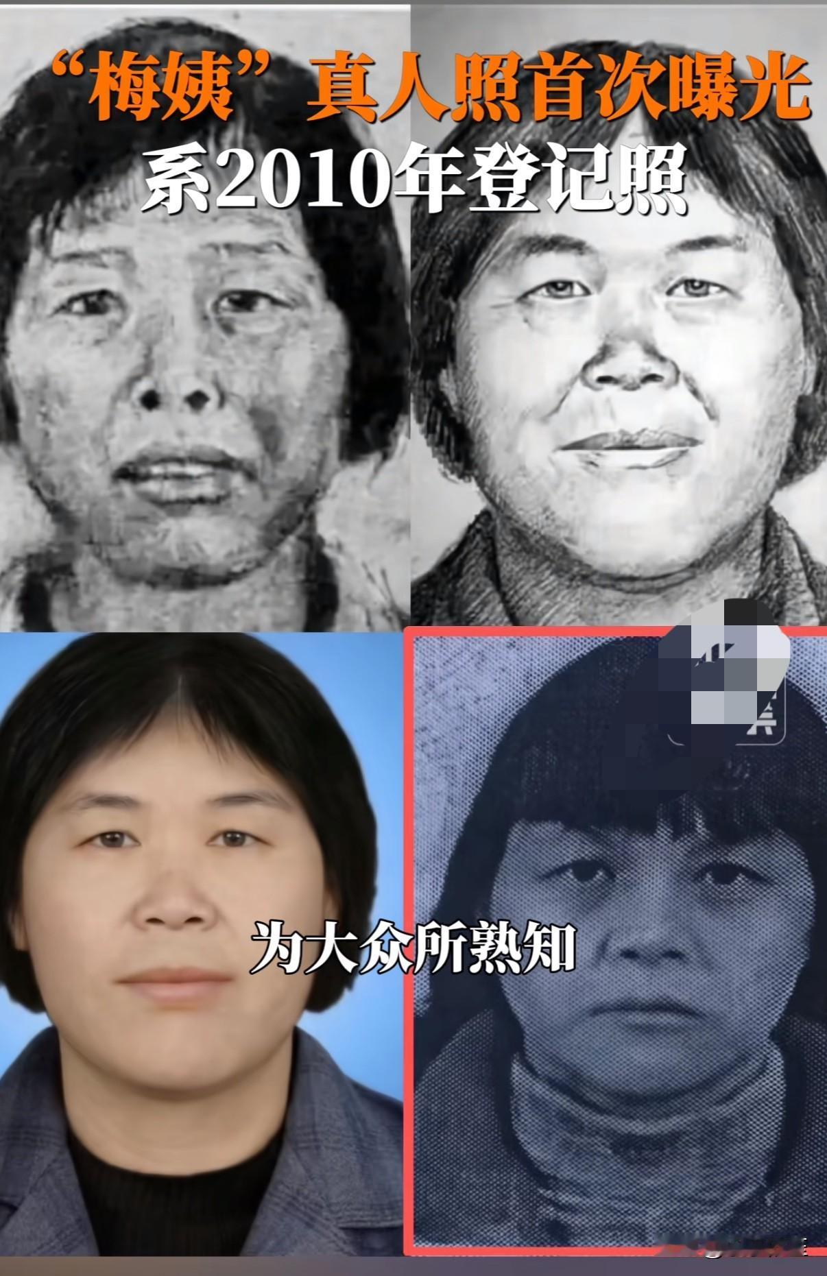 这是梅姨2010年的证件照片！梅姨当时49岁的照片！终于看到了！原来这就是传说中