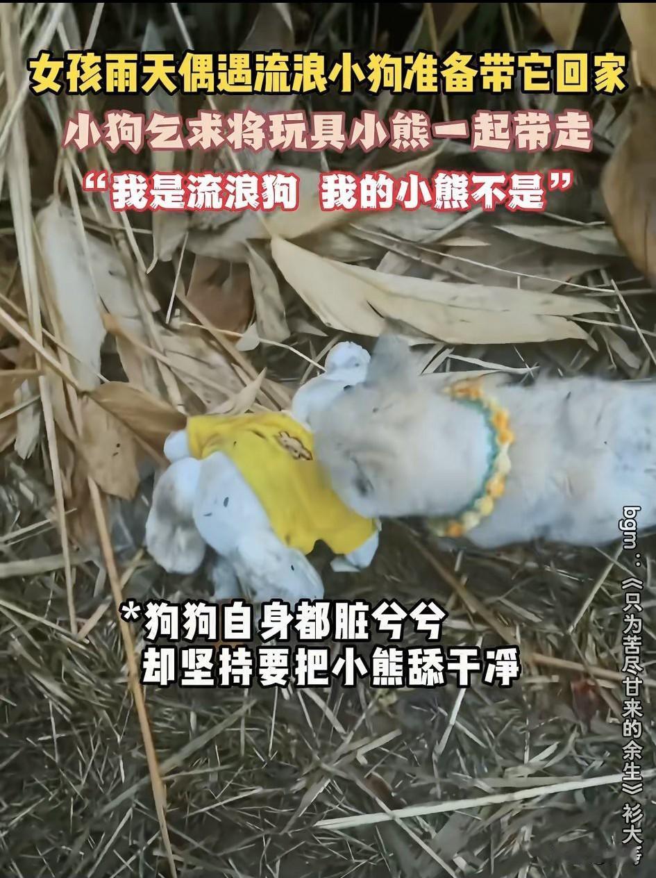 这天，天空中落起了小雨，一位小姐姐去散步，当她走到一个公园里的时候，突然一只可怜