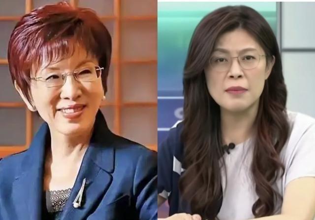 不查不知道，查了才明白！其实郑丽文和洪秀柱最大区别是：郑丽文上任后采取的是表面反