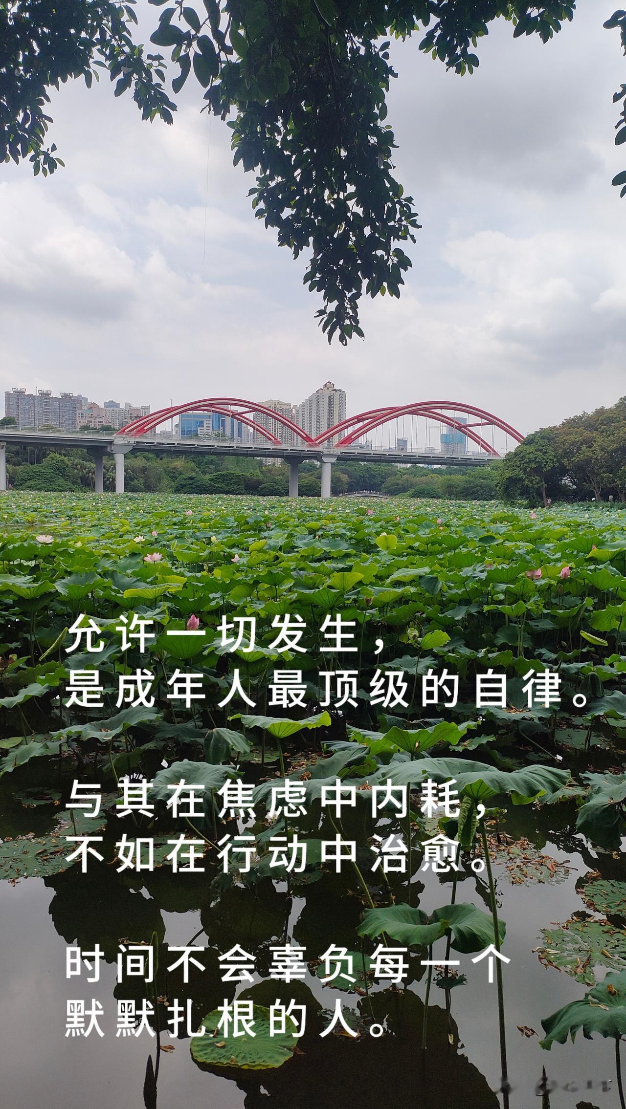 人到中年才懂的真相：允许一切发生，是成年人最顶级的自律前几天，一个朋友深夜给