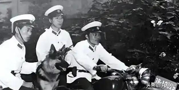 1985年河北深夜乡间，32岁女工被拖入树林性侵，绝境中她一口咬断歹徒舌头，作恶